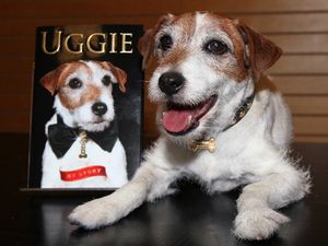 Hollywood’s Most Famous Dog Has Been Put to Sleep