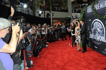 Jurassic World Actor Welcomes First Child