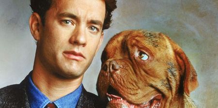 Hooch, Houses & Hanks: The Best of Tonight’s TV