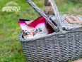 [CLOSED] COMPETITION: Win The Ultimate Picnic Experience With Thanks To Keogh’s!