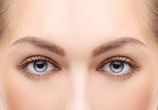 Would You Do This With Your Eyebrows?!