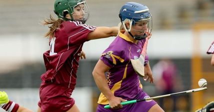 Camogie Association Dismisses Appeal By Wexford Camogie Board