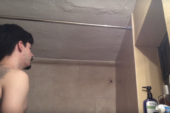 This Man Trying to Reason With A Massive Spider is the Only Thing You Need to See Today