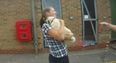 VIDEO: Stolen Dog Reunited with Owner