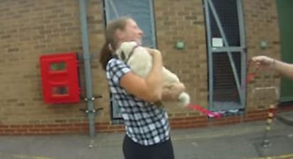 VIDEO: Stolen Dog Reunited with Owner