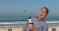 VIDEO: News Reporter Freaks Out Over Flying Insect During Live Broadcast