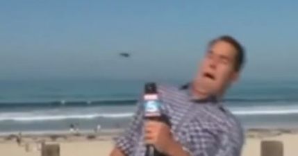 VIDEO: News Reporter Freaks Out Over Flying Insect During Live Broadcast