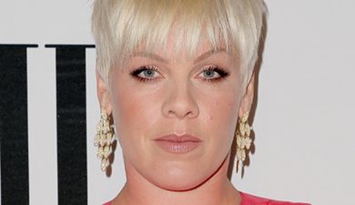 Pink and Demi Lovato Appear to Be Having a Spat on Twitter