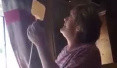VIDEO: Irish Mammy Shows Bee Who’s Boss