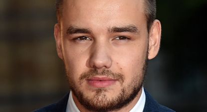 Liam Payne Hits Out at 1D Fans on Twitter