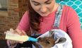 Irish Vet Nurse Living in Australia Fosters Baby Kangaroo