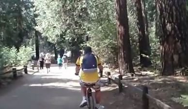 VIDEO: You Might Want to Book a Holiday to California After Seeing This