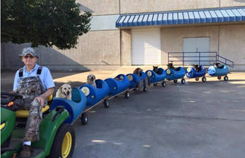 80-Year-Old Man Builds Mutt-Mobile for His Stray Dogs