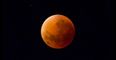 PICTURES: Some Incredible Snaps of The Supermoon Lunar Eclipse