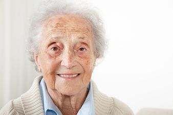 This Photo Is The Cutest Thing On The Internet Today