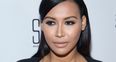 Naya Rivera and Ryan Dorsey Welcome First Child