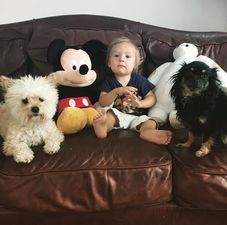 Here’s a Dog Driving His Owner Around in a Car