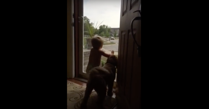 This Video is Just So God Damn Cute We Wana Keep it in a Jar