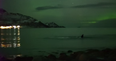 WATCH: This Video Of Whales Playing Under The Northern Lights Is Absolutely Stunning