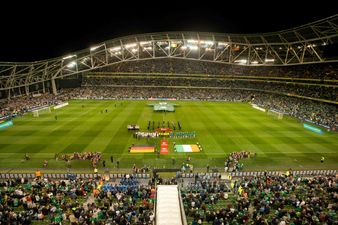 An 11-Year-Old Tipperary Lad Has Become An Internet Sensation All Thanks To This Moment In The Aviva