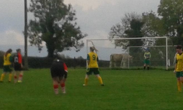 PICTURE: There Were Some Very Unexpected Spectators At A Women’s Football Game This Weekend