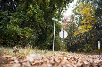 A Woman Who Has Been Missing For 42 Years Has Been Found