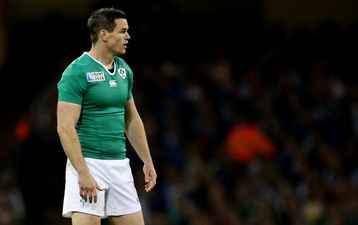 Johnny Sexton Named In Irish Squad To Play Argentina