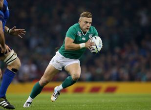 PICTURE: These Irish Fans Have A Brilliant Ian Madigan-Inspired Banner In Cardiff Today