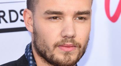 Liam Payne Breaks Silence Following Cancelled 1D Gig
