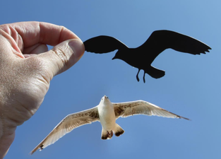 This Lad Transforms Landmarks With a Simple Piece of Paper