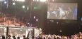 VIDEO: Irish UFC Fans Give Aisling Daly One Hell of an Intro