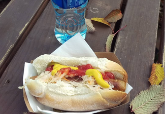 #Foodgate – People Are Going Mental Over The Price Of These Web Summit Hot Dogs