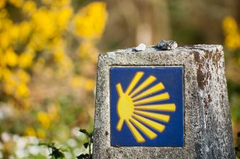 Walk This Way: 10 Tips For Tackling The Camino de Santiago