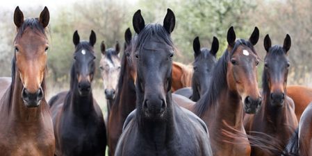 Woman Gets Poem From Her Ex’s New Girlfriend – Literally Loses Her Sh*t