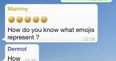 Irish Mammy Left Completely Boggled By The Use Of Emojis And It Makes For Wonderful Reading