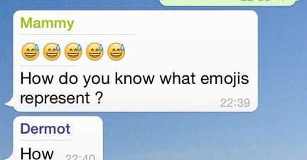 Irish Mammy Left Completely Boggled By The Use Of Emojis And It Makes For Wonderful Reading