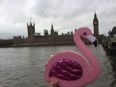 One Girlfriend, A Stranger And A Flamingo Purse Make For The Greatest Love Story Ever