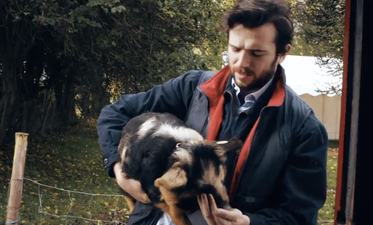 Republic Of Telly Make Spoof Version Of The ‘Piggy Sue’ TV Ad