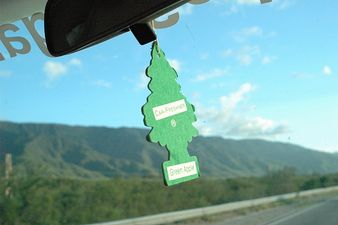 This Is The Reason All Car Fresheners Are Shaped Like Trees