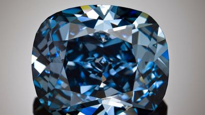 Blue Moon Diamond Sold For A Record Breaking €40 Million
