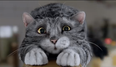 VIDEO: Mog The Cat Is The Star Of The Sainsbury’s Christmas Ad