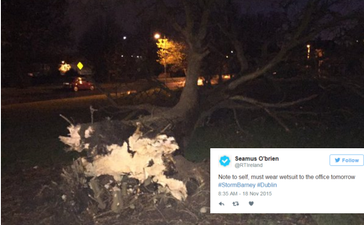 Storm Barney Is “Ripping Down Trees And Causing Absolute Chaos” This Morning