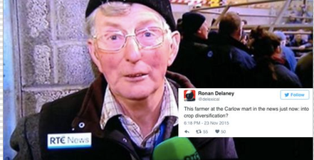 Carlow Farmer Appears On The Six One News And His Hat Is The Centre Of Attention