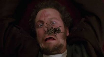 Sydney Police Called To A “Domestic Incident”…With A Spider