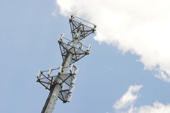 Schoolgirl Reportedly Died By Suicide Following Rare “Allergic Reaction To Wifi”