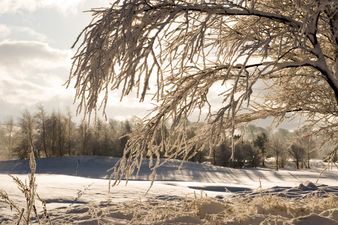 COMPETITION: Win A Canon Photography Kit By Sharing Your #WinterPerspective Pics