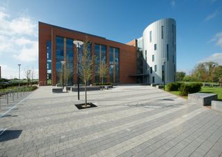 They’re Taking Pre-Exam Procrastination To A New Level In Limerick