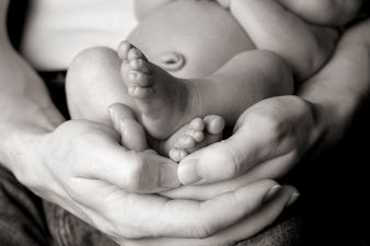 Rest Your Weary Bones Ladies: Male Pregnancy Could Soon Be a Thing