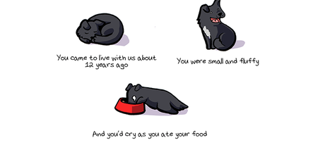 This Heart-Wrenching Life of A Puppy Comic Will Make You Want to Hug Your Dog Forever
