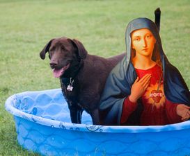 Virgin Mary’s Diary Entry – Day 259 Of Pregnancy